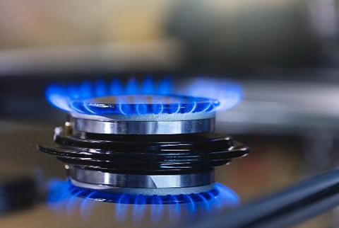 Gas Appliance Check